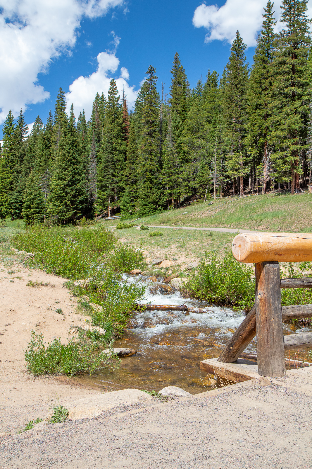 Hidden Valley picnic area in Rocky Mountain National Park