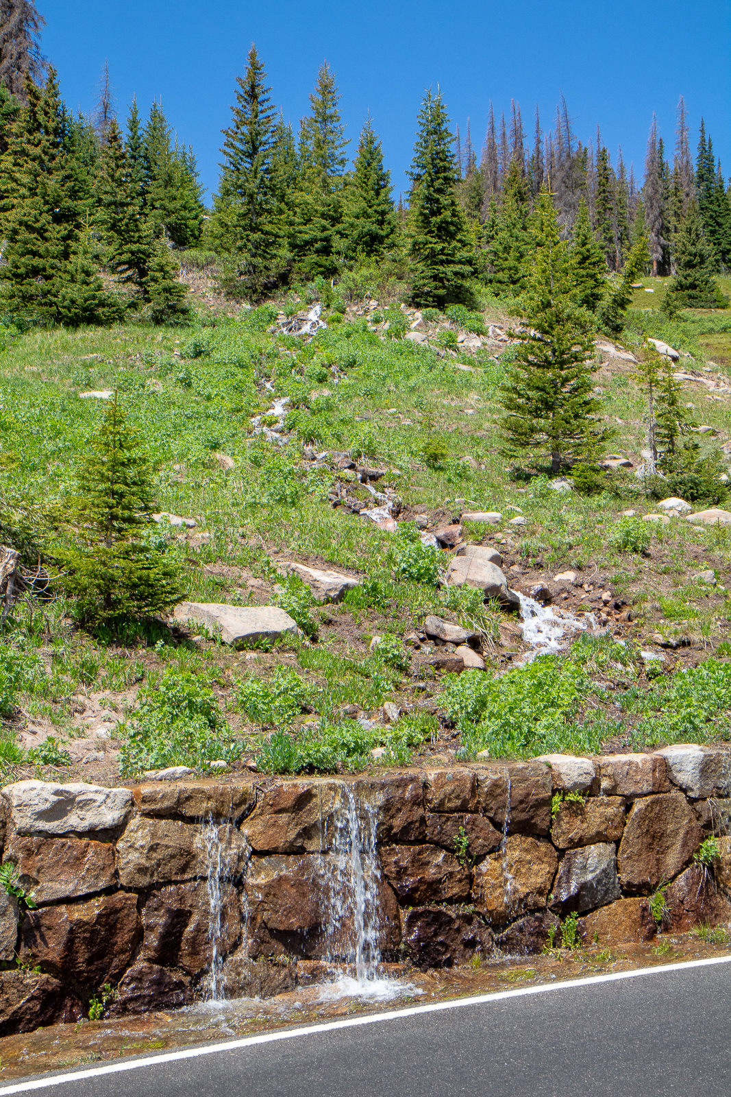Road waterfall on Trail Ridge Road in Rocky Mountain National Park