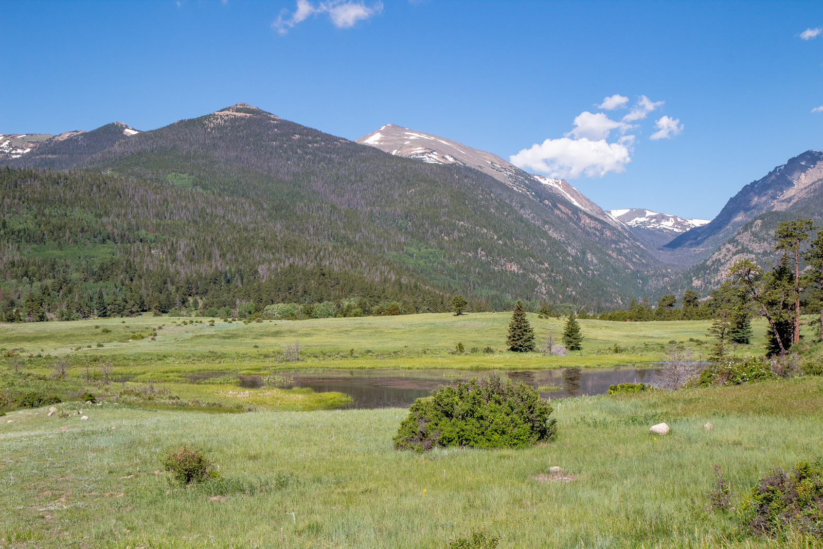 Sheep Lakes Overlook in Rocky Mountain National Park