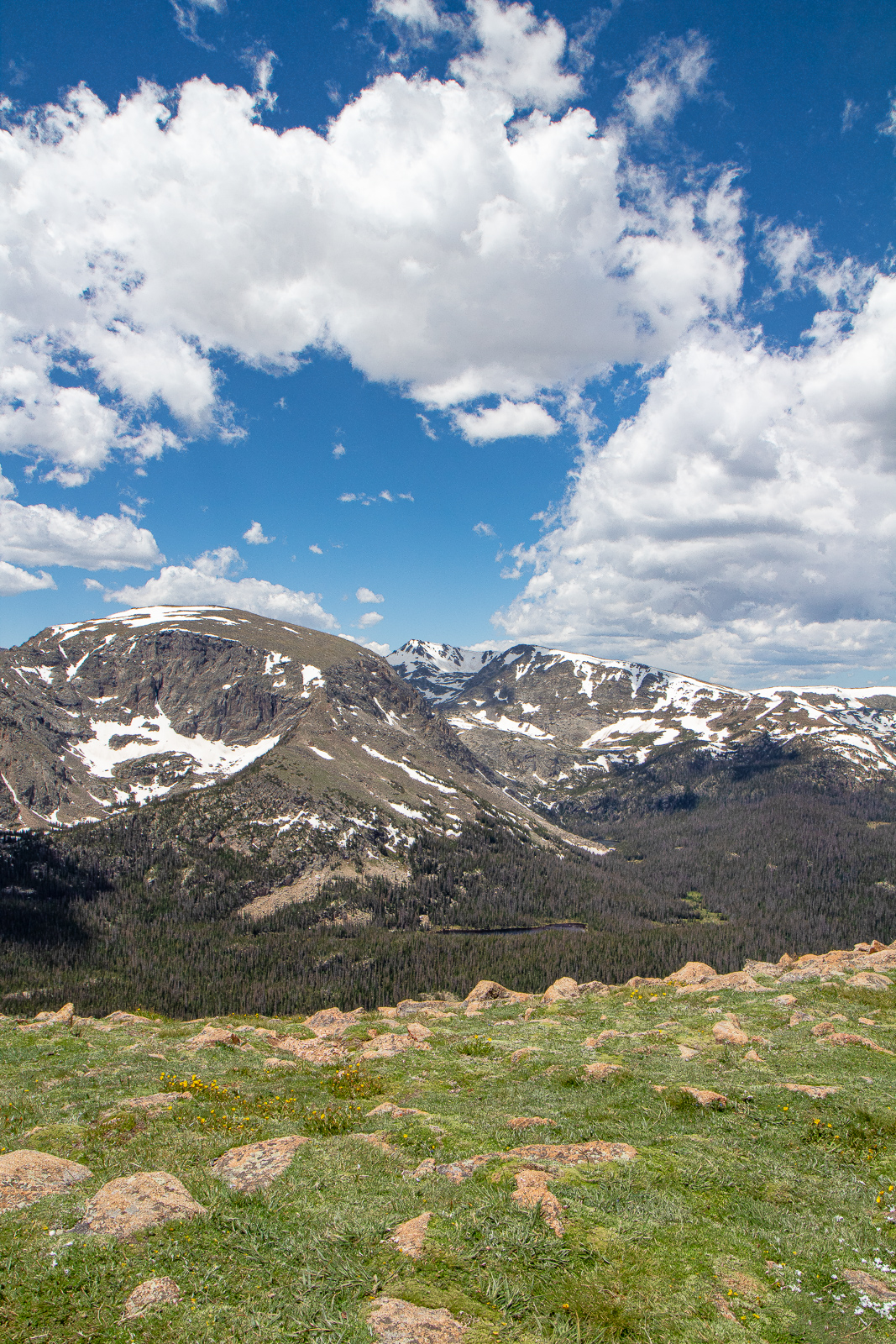 Forest Canyon Overlook on Trail Ridge Road in Rocky Mountain National Park