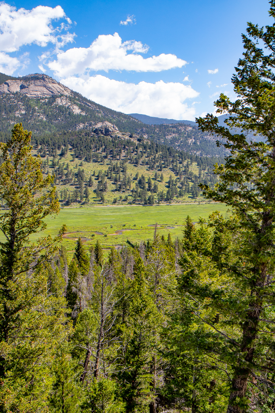 Horseshoe Park Overlook in Rocky Mountain National Park