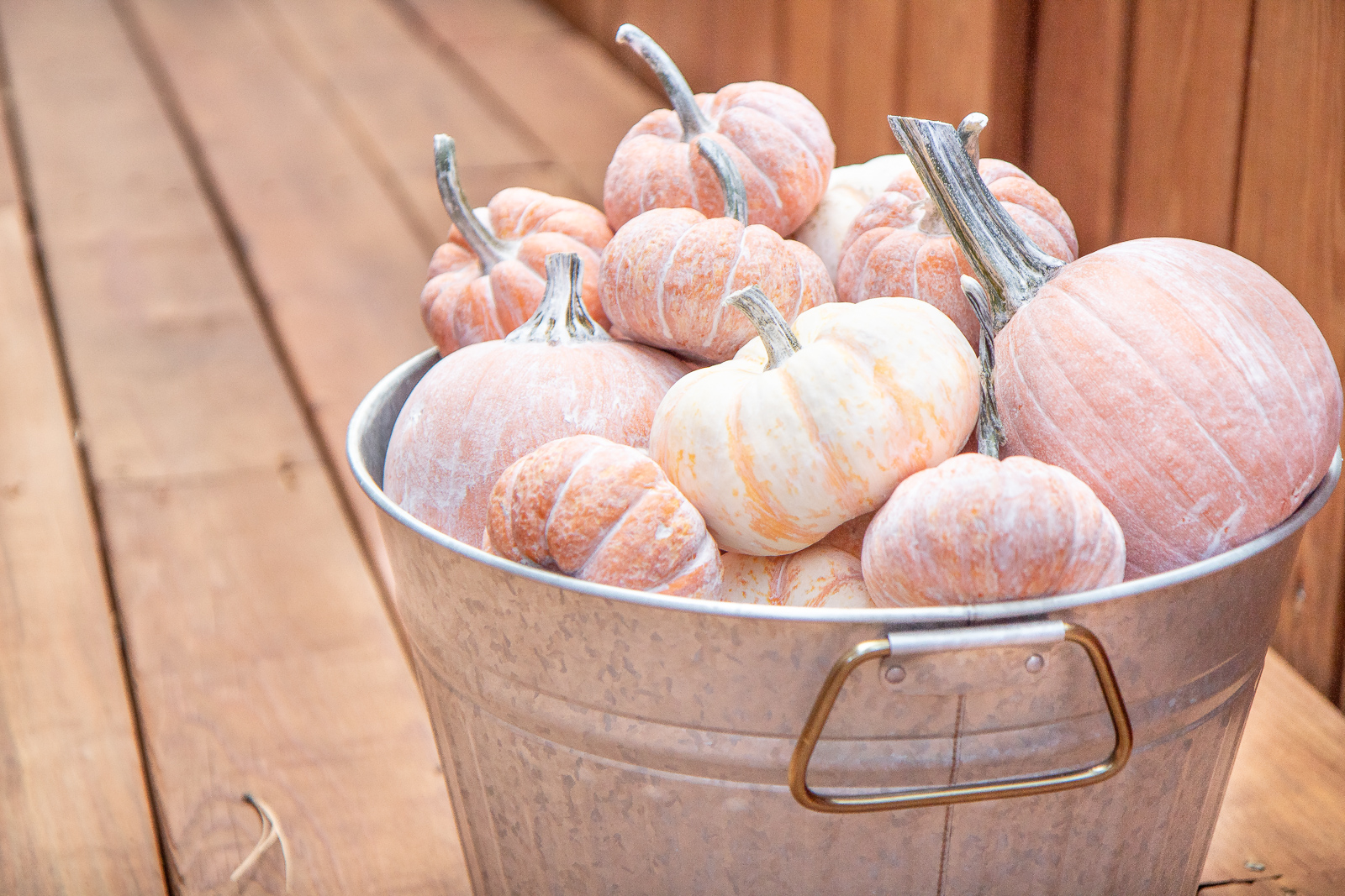 Easy whitewashed pumpkins