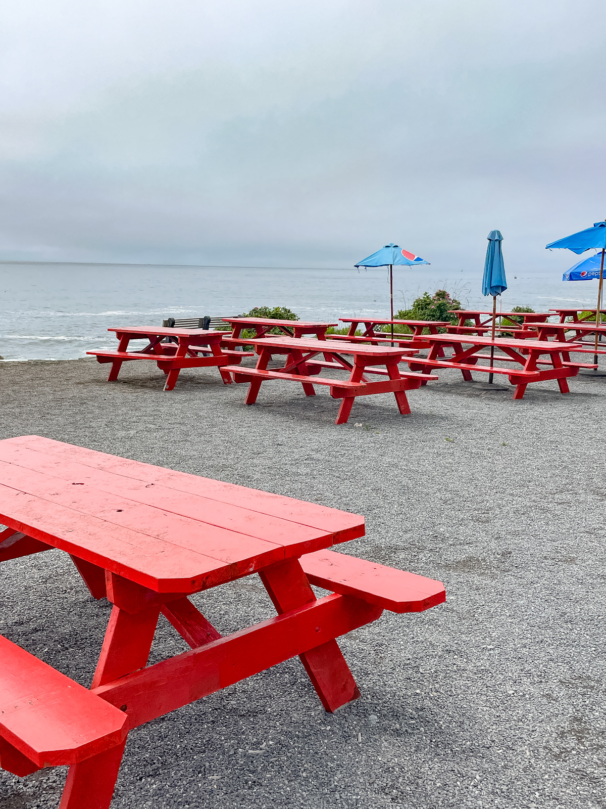Outdoor dining at the Lobster Shack