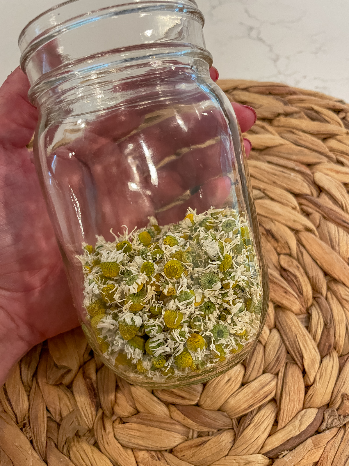 Dehydrated camomile 
