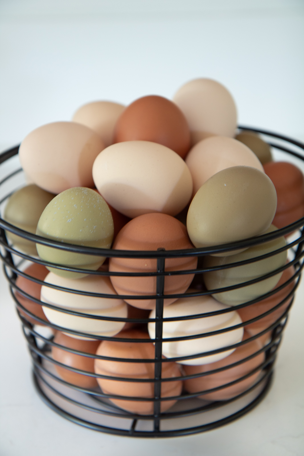 Olive egger eggs, Isa Brown Eggs, Pearl Leghorn eggs
