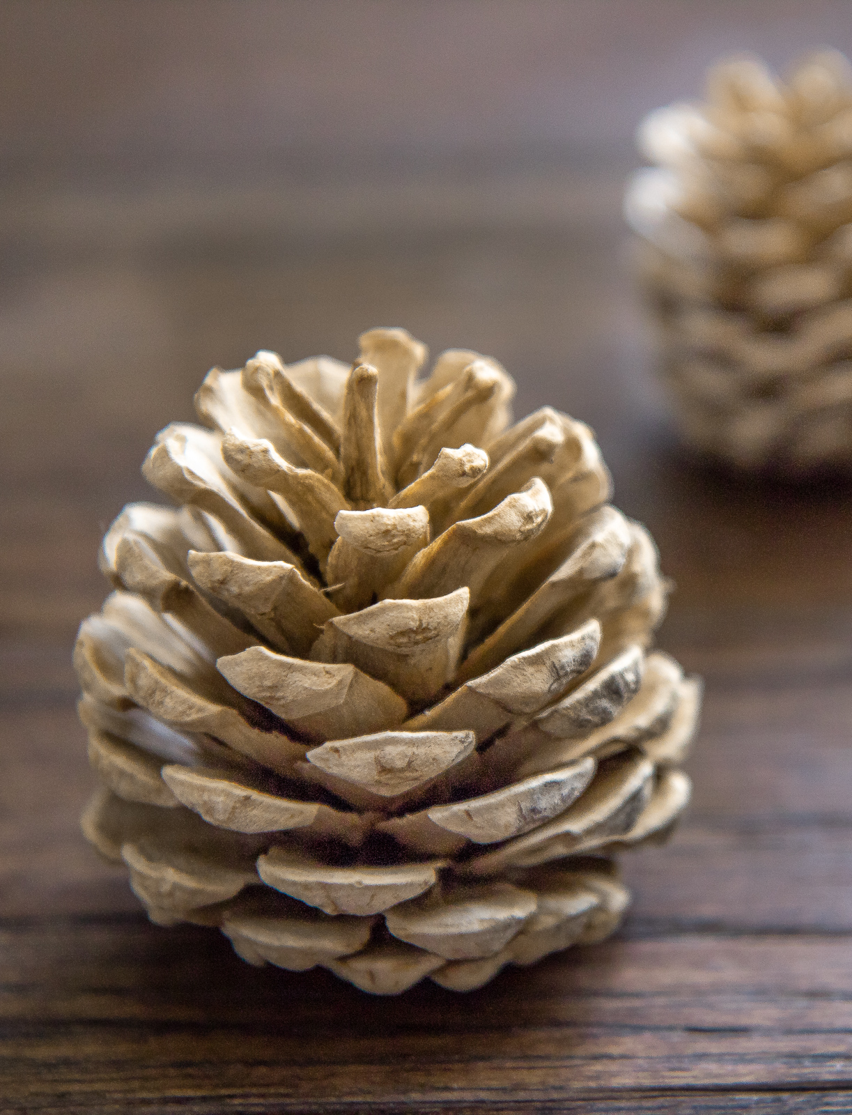 11 Amazing Uses for Pine Cones You Probably Didn't Know