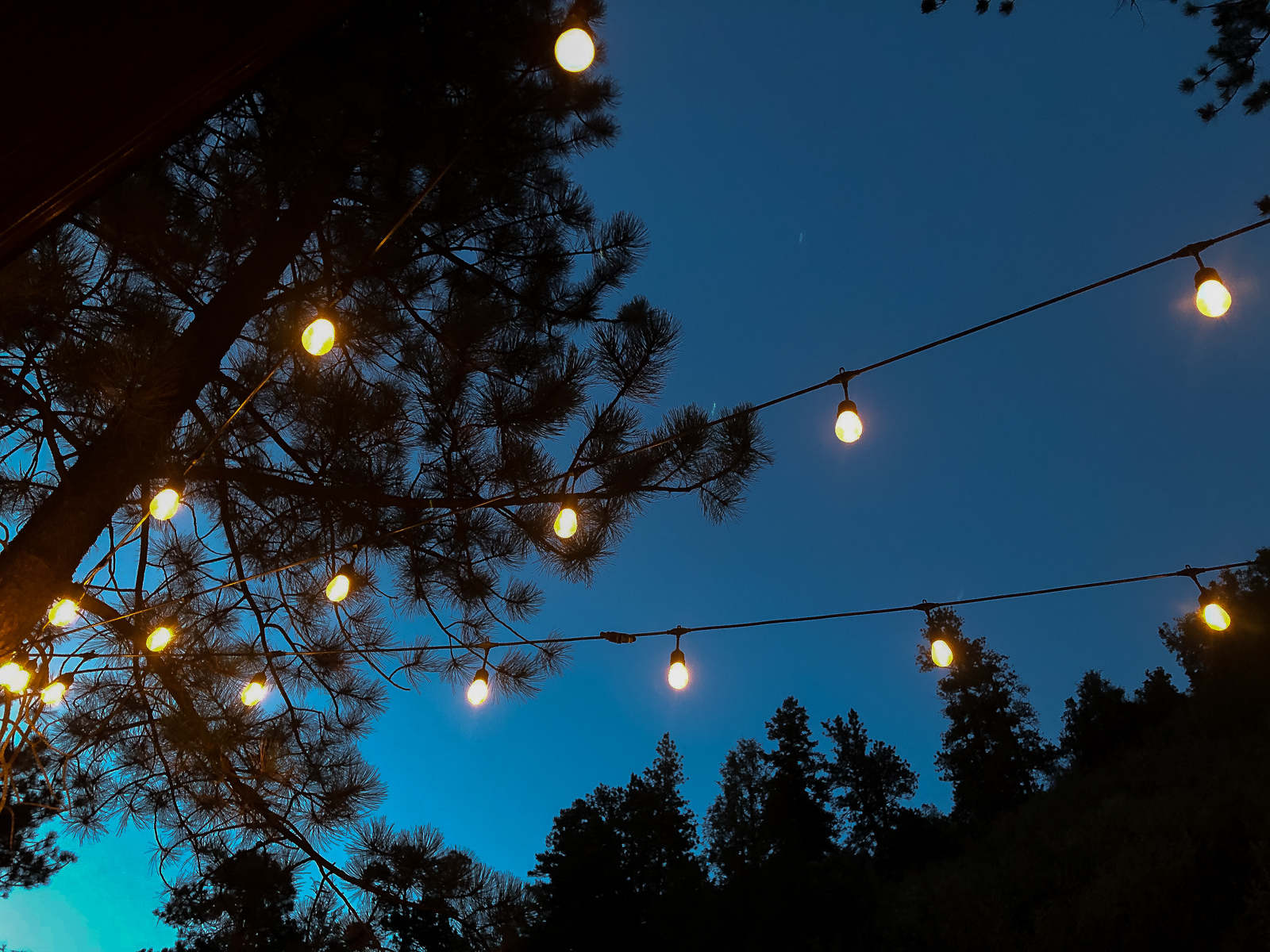 outdoor string lights at night