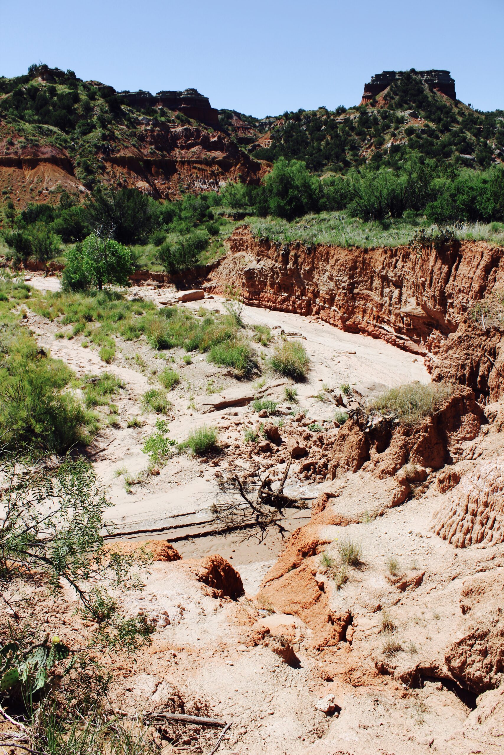 palo duro canyon